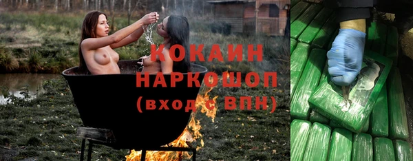гидра Алзамай