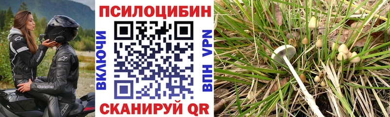 Псилоцибиновые грибы Magic Shrooms Воткинск