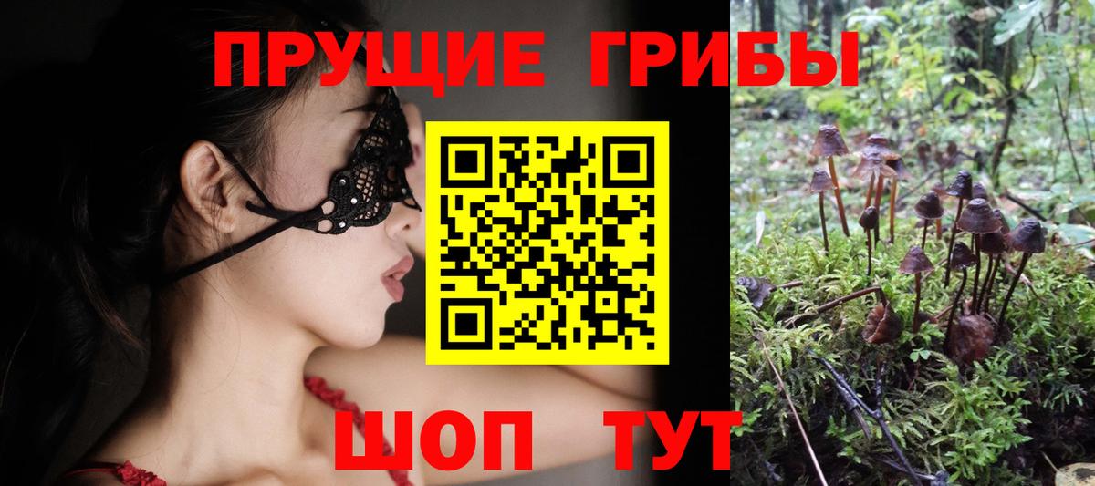 наркота  Галлюциногенные грибы Magic Shrooms  Вход с VPN  Воткинск 